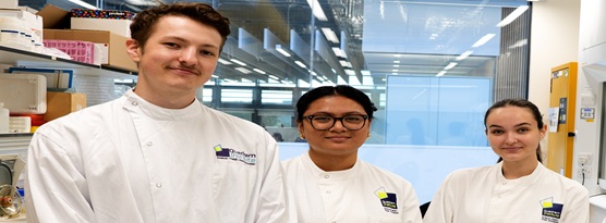 Summer Student Bursaries 2026 - Experience